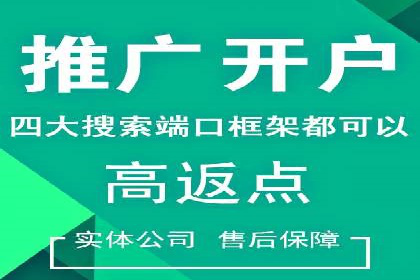 百度竞价策略成功案例：如何做到日赚千元